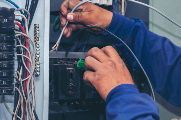 Best Electric Panel Repair  in Lake Arrowhead, CA